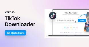 Elevate Your TikTok Journey with Veed.io's Game-Changing Downloader