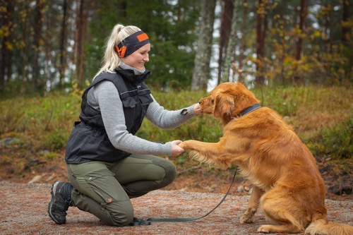 How and when to use dog training vest?