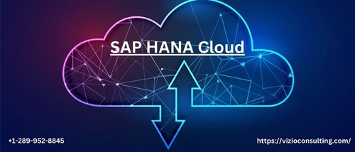 Successful Migration and Implementation of SAP HANA Cloud: