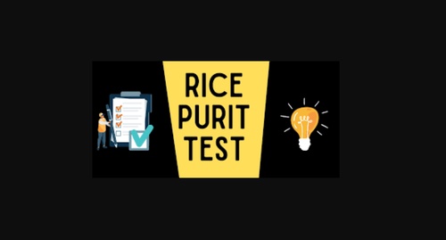 Decoding the Rice Purity Test Score: What Does it Really Mean