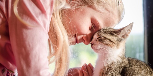Tips for Forming a Bond with Your Feline Friend Happy Cat, Happy You