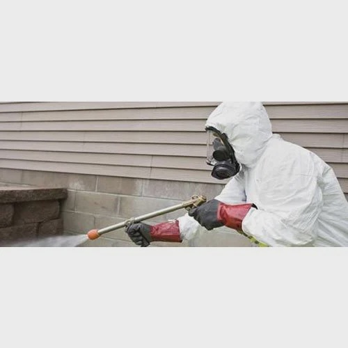 Experience Pest Relief with Termite Control Services in Lahore