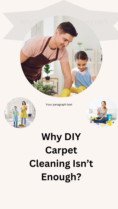 Why DIY Carpet Cleaning Isn't Enough: Hiring Professionals in Scarborough for Superior Results