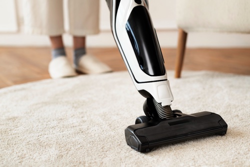 Why you Need Professionals for Carpet Cleaning in Milton?