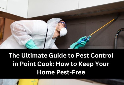 The Ultimate Guide to Pest Control in Point Cook: How to Keep Your Home Pest-Free