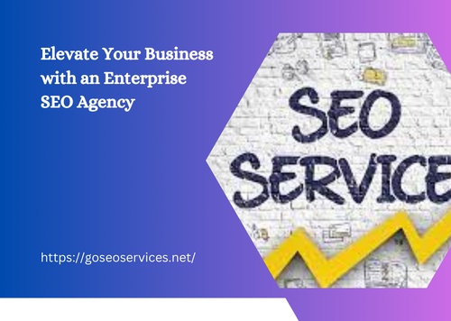 Elevate Your Business with an Enterprise SEO Agency