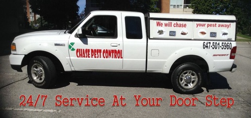 Pest control service in GTA