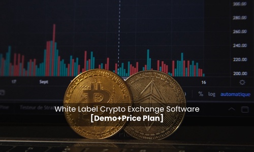 White Label Crypto Exchange Software [Demo+Price Plan]
