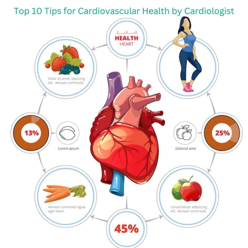 Top 10 Tips for Cardiovascular Health by Cardiologist