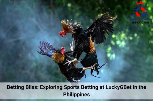 Thrilling Action: Betting on Cockfighting at LuckyGBet