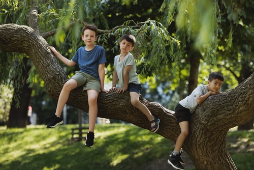 The Health-Boosting Power of Outdoor Play