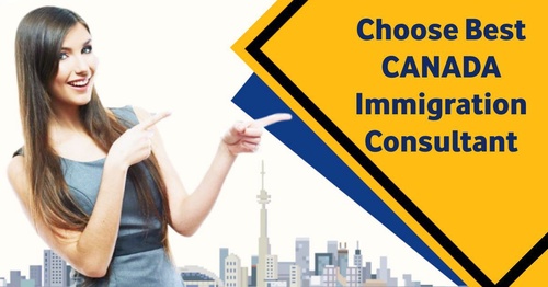 How To Choose The Best Immigration Consultant In Jalandhar For Canada?