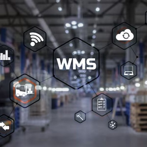 Why Your Business Needs a Modern Logistics Management System