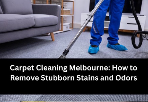 Carpet Cleaning Melbourne: How to Remove Stubborn Stains and Odors