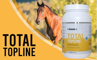 Buy Supplement for Topline for Horses Online
