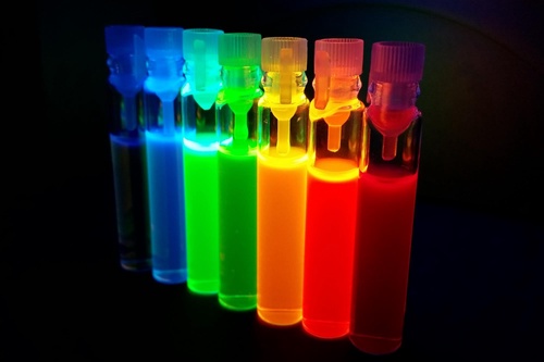 What Applications Can Quantum Dots Have in Biotechnology?