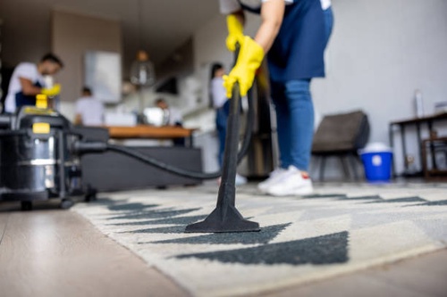 The Importance of Professional Carpet Cleaning in Carroll County