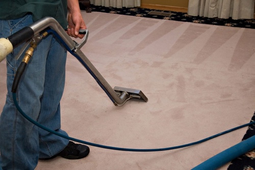 A Deep Dive into Carpet Cleaning: Tips, Techniques, and Benefits
