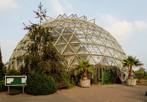 Top 7 Must-Have Features When Shopping for Greenhouses for Sale
