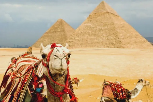 From Sharm el-Sheikh to the Pyramids: An Egyptian Odyssey |Know about Sharm el-Sheikh’s Charm