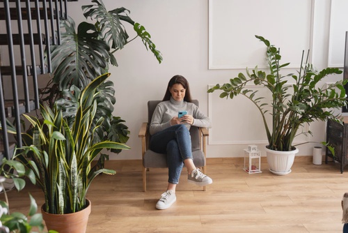 10 Houseplants That Improve Your Indoor Air Quality
