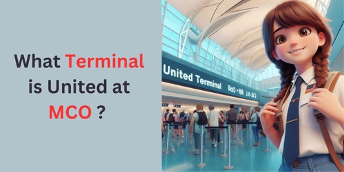 MCO United Terminal +1-800- 864-8331