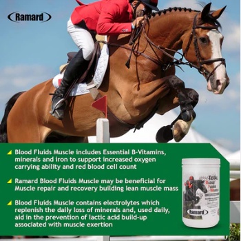 Our Horse Performance Supplements Can Help Your Horse Perform Even More