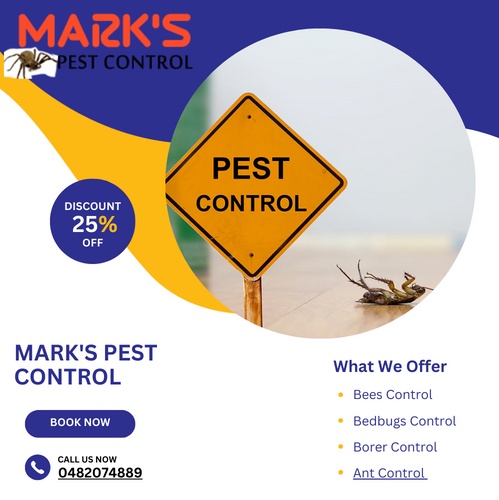 Safe and Sound: Non-Toxic Approaches to Pest Control