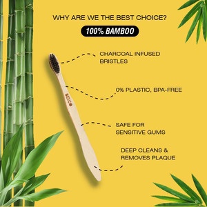 Bamboo: The Eco-Friendly Hero in Your Daily Routine