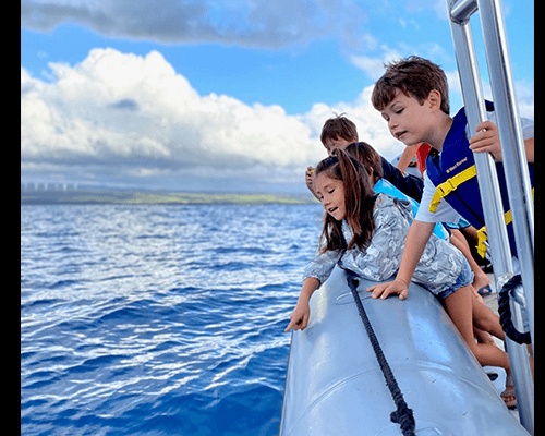 Why is a Chartered Boat the Best Way to Go Whale Watching in Hawaii?