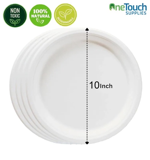 "Eco-Friendly Disposable Plates: Balancing Convenience and Sustainability"