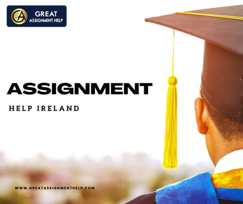 Online Assignment Help Service In Ireland