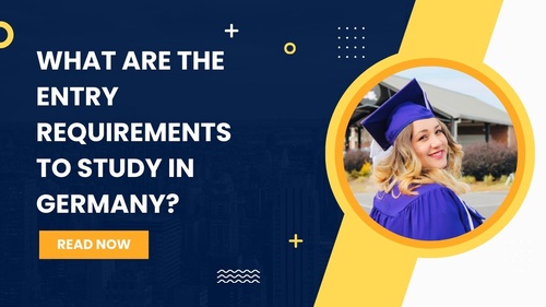 What are the entry requirements to study in Germany?