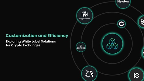 Customization and Efficiency: Exploring White Label Solutions for Crypto Exchanges