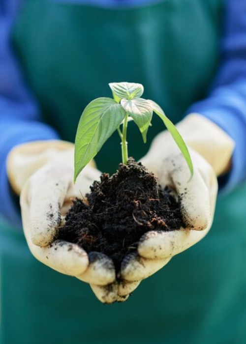 Benefits of Bio Growth Fertilizers: Nurturing Soil and Plants Naturally