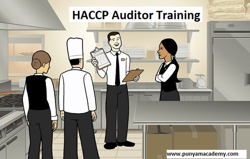 What are the Qualities of an HACCP Team Leader?