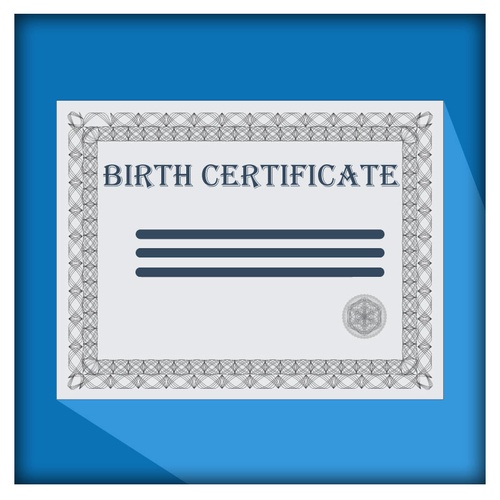 Navigating The Birth Certificate Translation Landscape