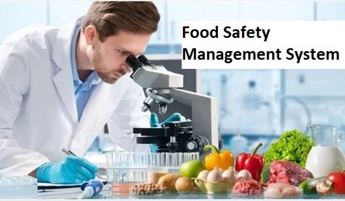 What are the 5 Steps for the Food Safety Management System?