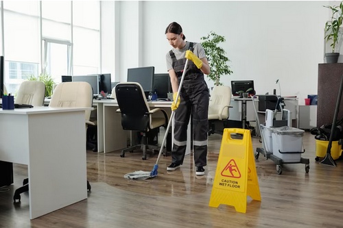 Rockville's Cleaning Royalty: Choosing the Best Cleaning Company for Your Home