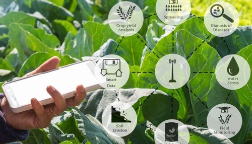 AgroChem QR: Precision Tracking for Agricultural Solutions