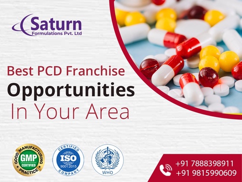 Unveiling the potential: PCD Pharma Franchise Companies