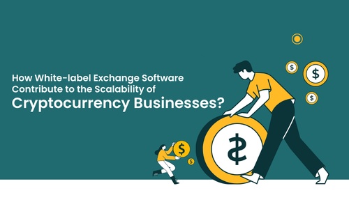 How does White-label Crypto Exchange Software Contribute to the Scalability of Cryptocurrency Businesses?