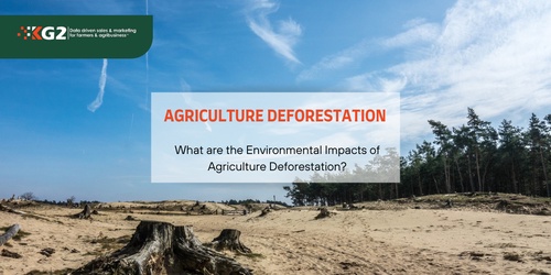 What are the Environmental Impacts of Agriculture Deforestation?