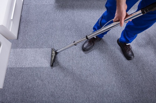 Transform Your Space with Professional Carpet Cleaning Services