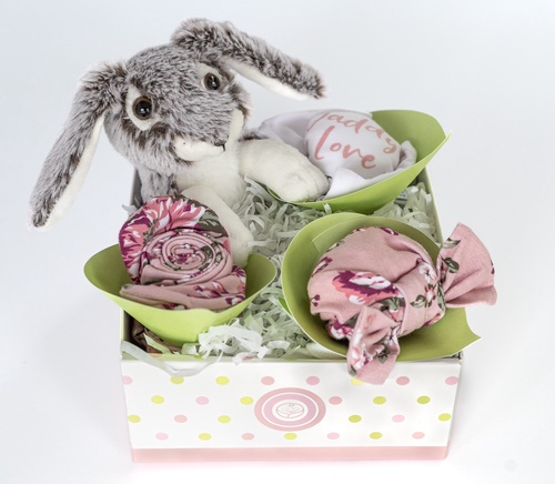 Why A Baby Clothes Basket Is A Perfect Option For A Baby Shower?