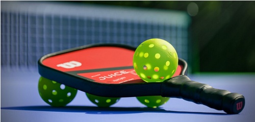 Pickleball Playgrounds: Discovering Adventures on the Court"