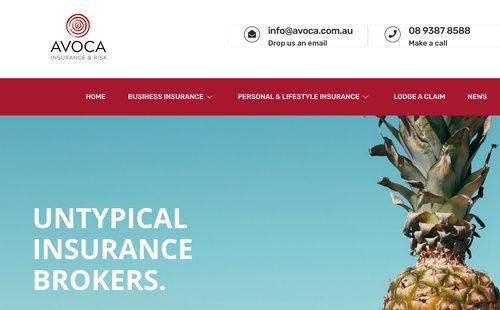 Peace of Mind, Professional Style: Navigating the World of Indemnity Insurance in Perth