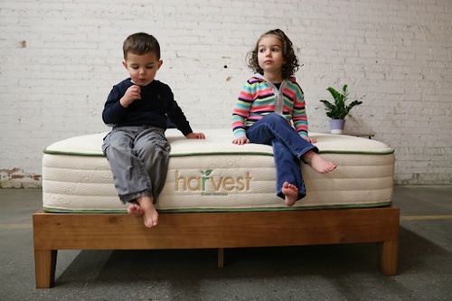 Elevate Your Sleep Haven: Unveiling the Comfort and Style of Harvest Green Mattress
