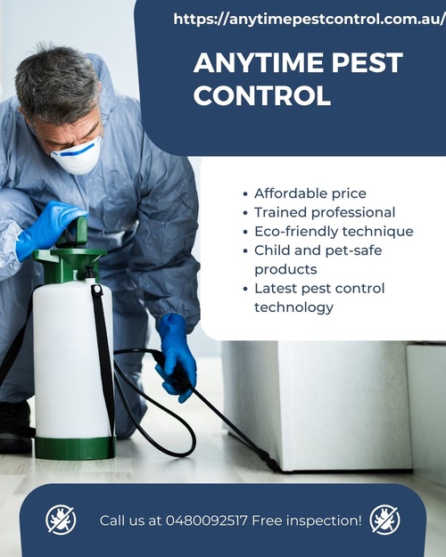 Premier Pest Control Service in Sydney: Keeping Your Home Pest-Free