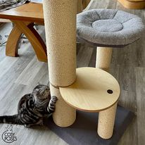 Elevate Your Cat's Experience with Tall Cat Scratching Posts Online UK
